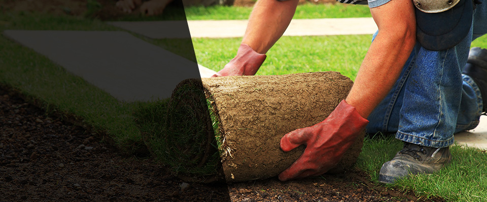 Gosport Landscapers